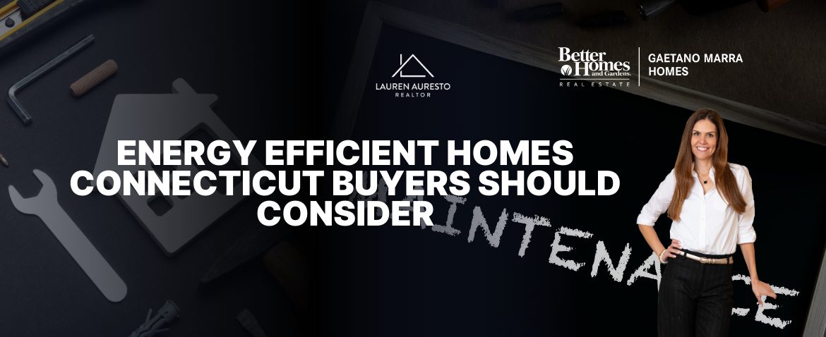 Energy Efficient Homes Connecticut Buyers Should Consider